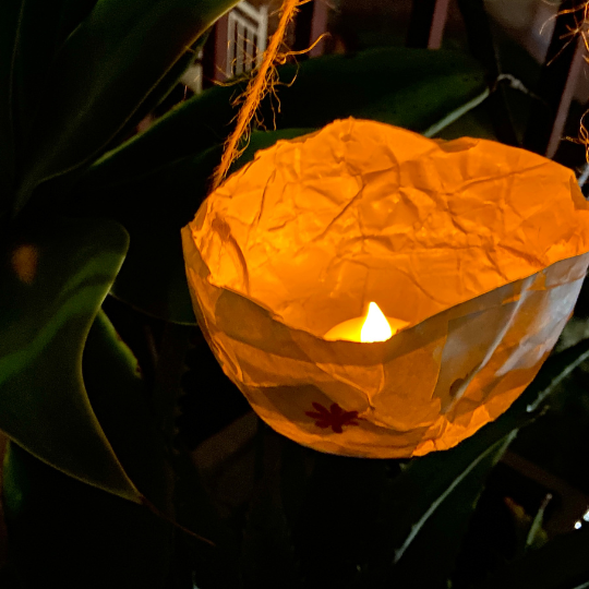 73_9282_27Apr2023152124_lantern 540px.png
